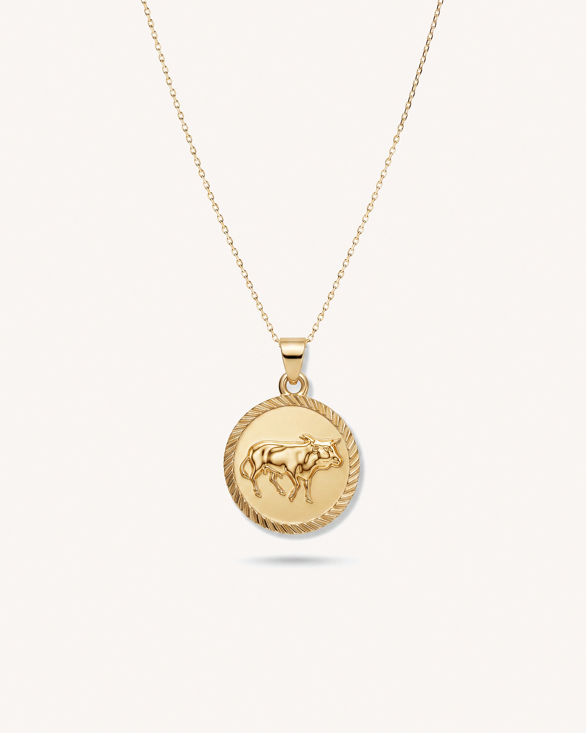 Taurus Zodiac Necklace