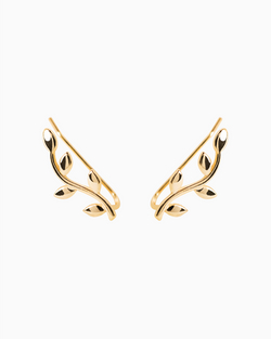 Vine Earrings Gold Plated over Sterling Silver