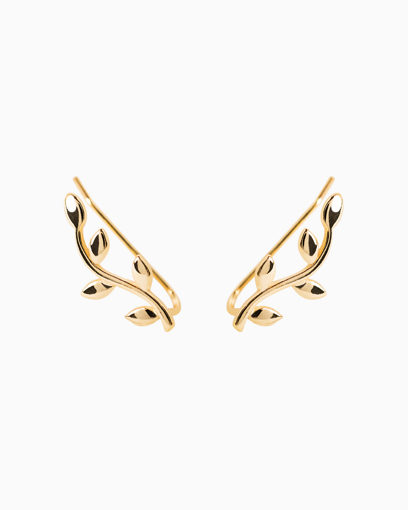 Vine Earrings Gold Plated over Sterling Silver