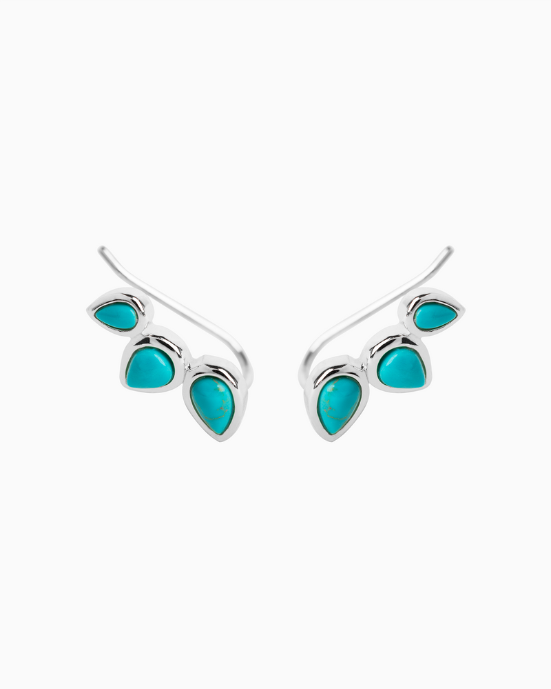 Turquoise Teardrop Earrings